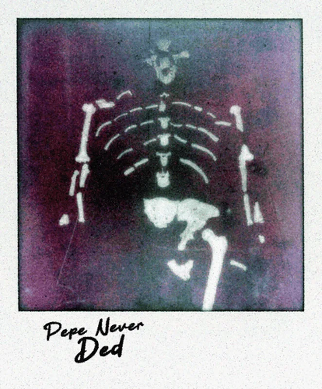 Preview of PEPE NEVER DED.